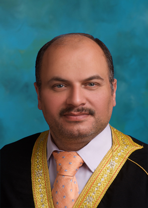 Alaa F. Sheta