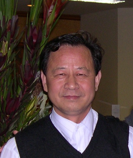 Honghua Dai