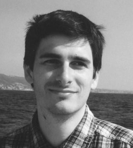 Ionut Cardei