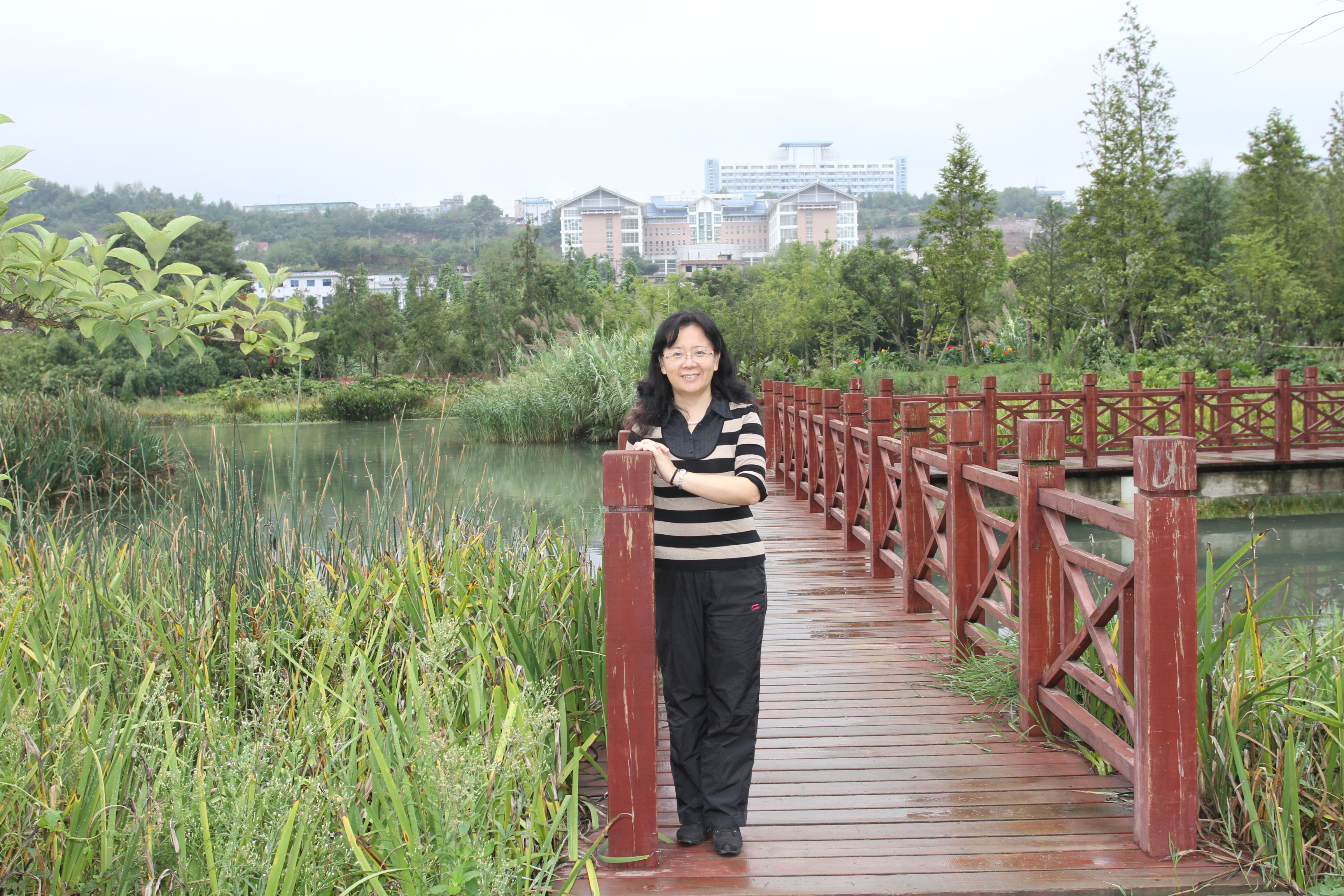 Beixin Mo