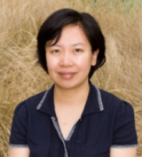 Wen Zhang