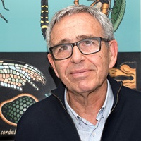 Morata Ginés
