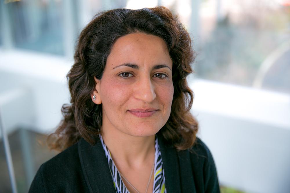 Afsaneh Doryab