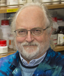 Stephen M. Beverley