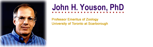 John H. Youson