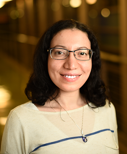 Nesreen K. Ahmed