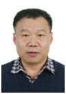 Xifeng Wang