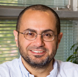 Amr Sabry