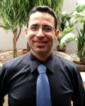 Domenico Ursino