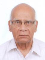 T. N. Srinivasan