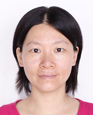 Wenli Mei