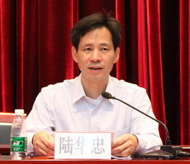 Huazhong Lu