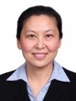 Dan Feng