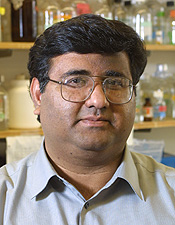 Dharminder Chauhan
