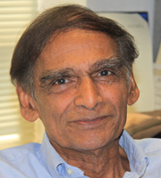 T. N. Krishnamurti