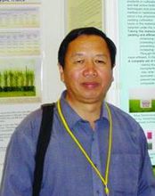 Yingbin Zou