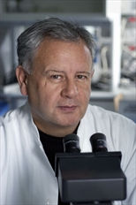 Julio E. Celis