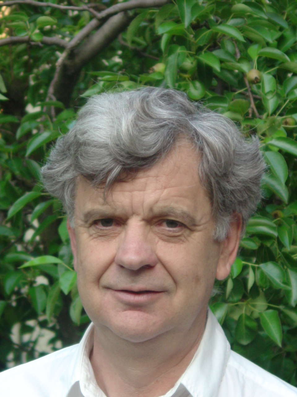 Gary L Miller