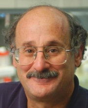 Alan M. Lambowitz