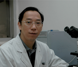 YunFeng Shen