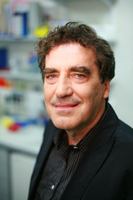 H.-D. Volk