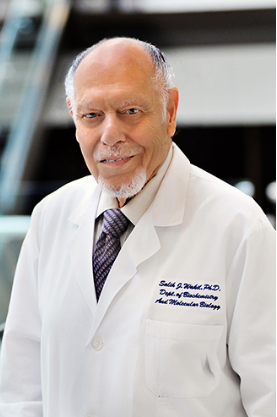 Salih Jawad Wakil (Salih J. Wakil)