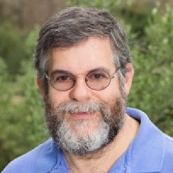 David R Traum