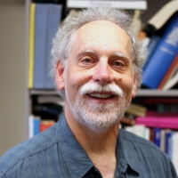Andrea A. Disessa