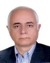 Shadpour Mallakpour